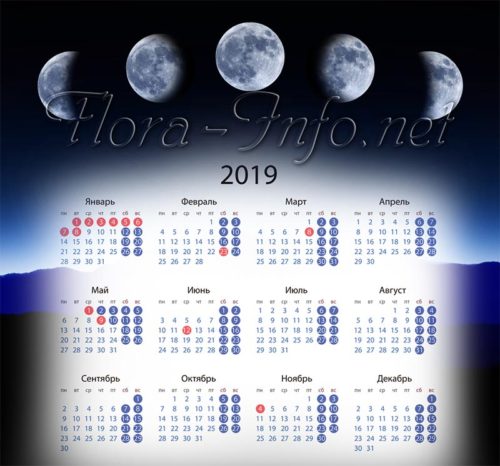 Лунный календарь 2019