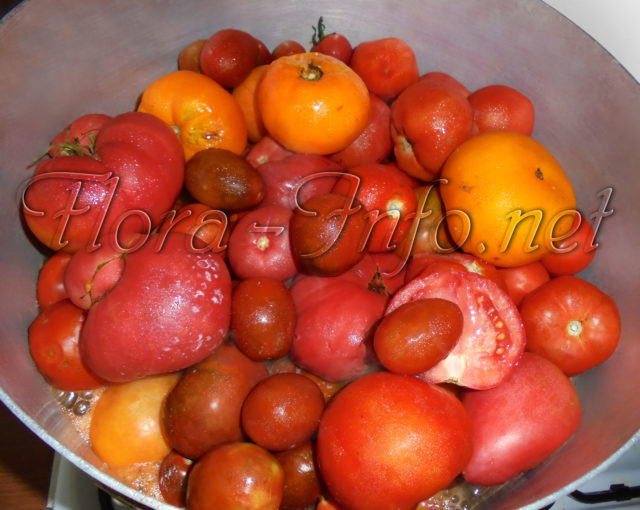 порезанные кусками томаты
